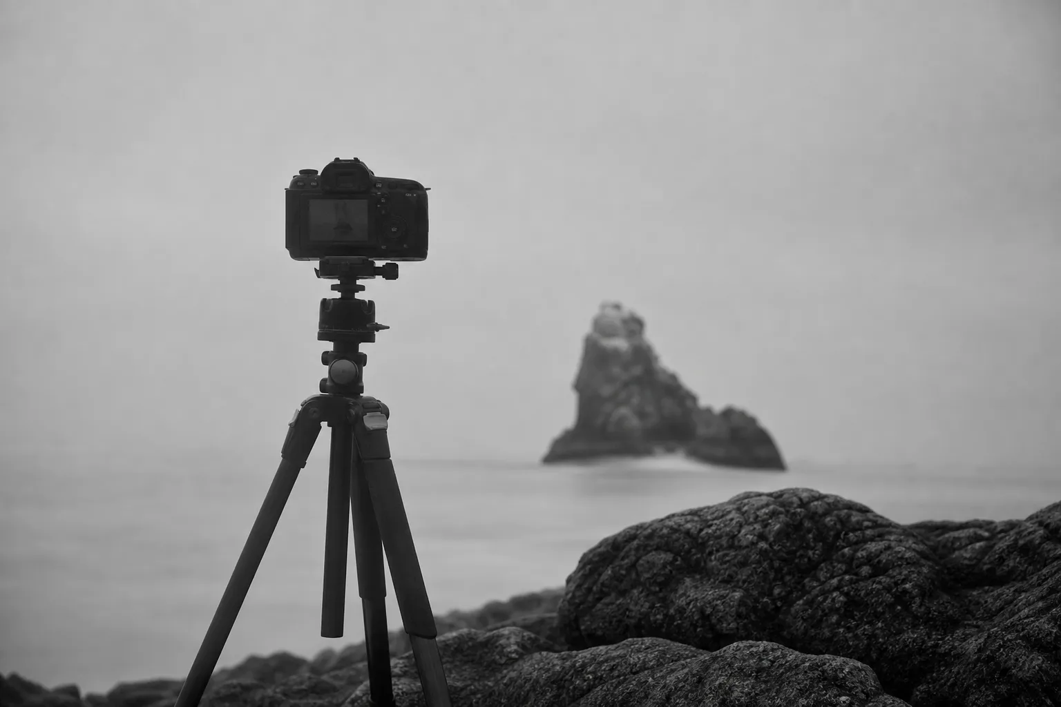 10 conseils incontournables pour réussir vos photographies en noir et blanc