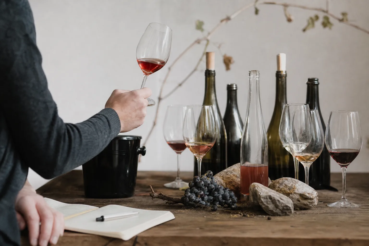 Comment devenir un expert en vin naturel : conseils et étapes clés
