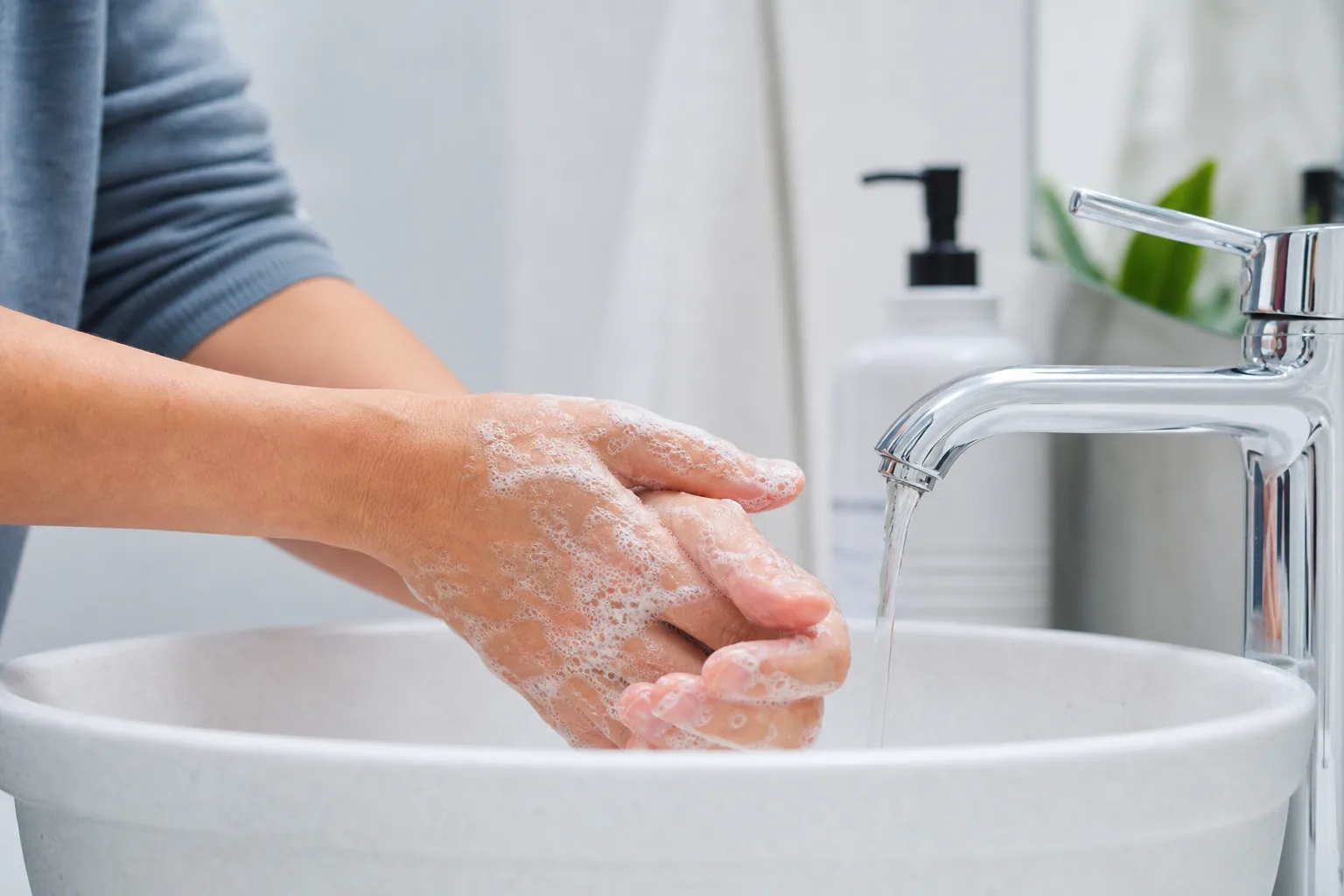 Conseils pour éviter la zoonose