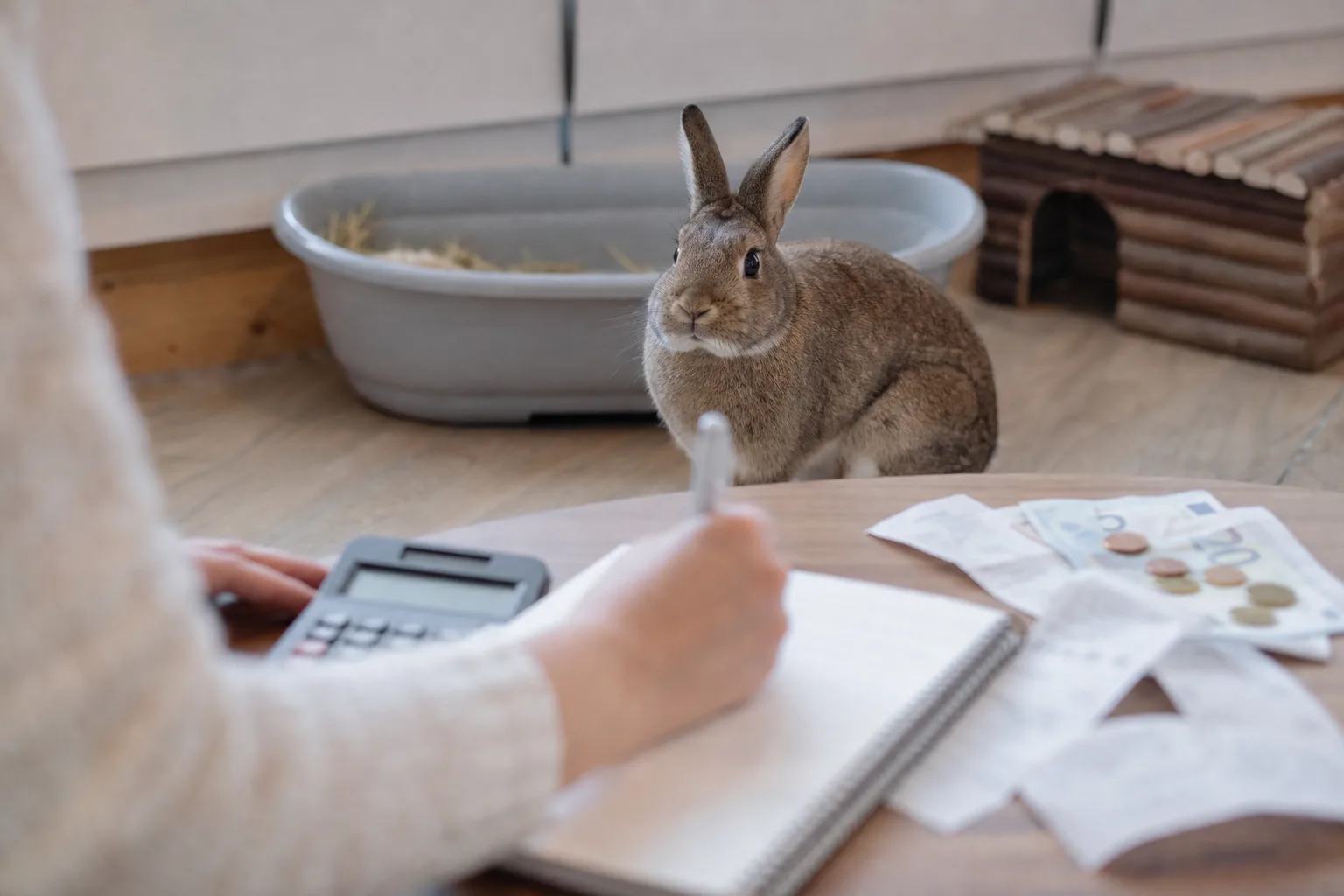 J&rsquo;ai adopté un lapin, le budget a prévoir