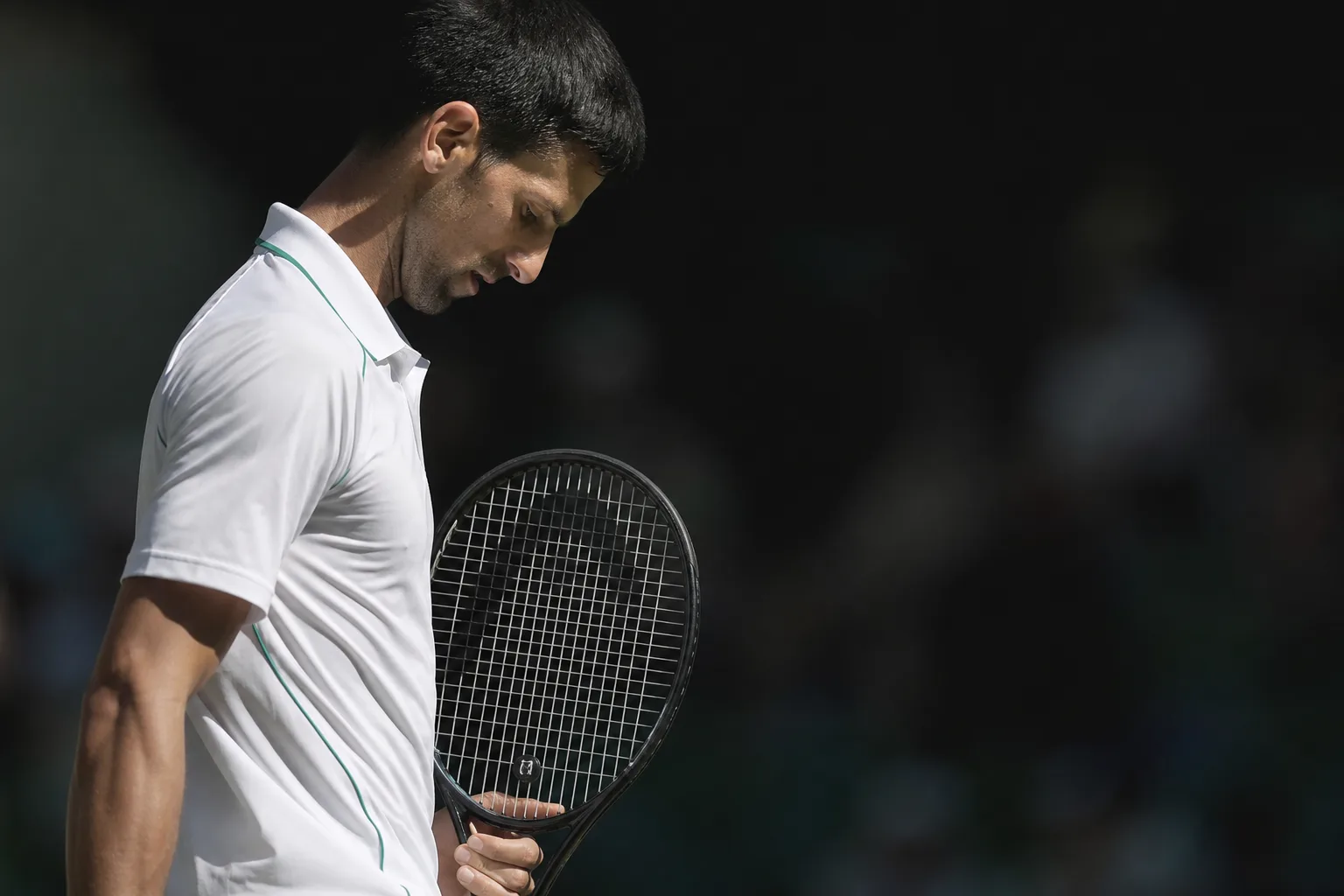 Djokovic va-t-il écraser l’année 2016