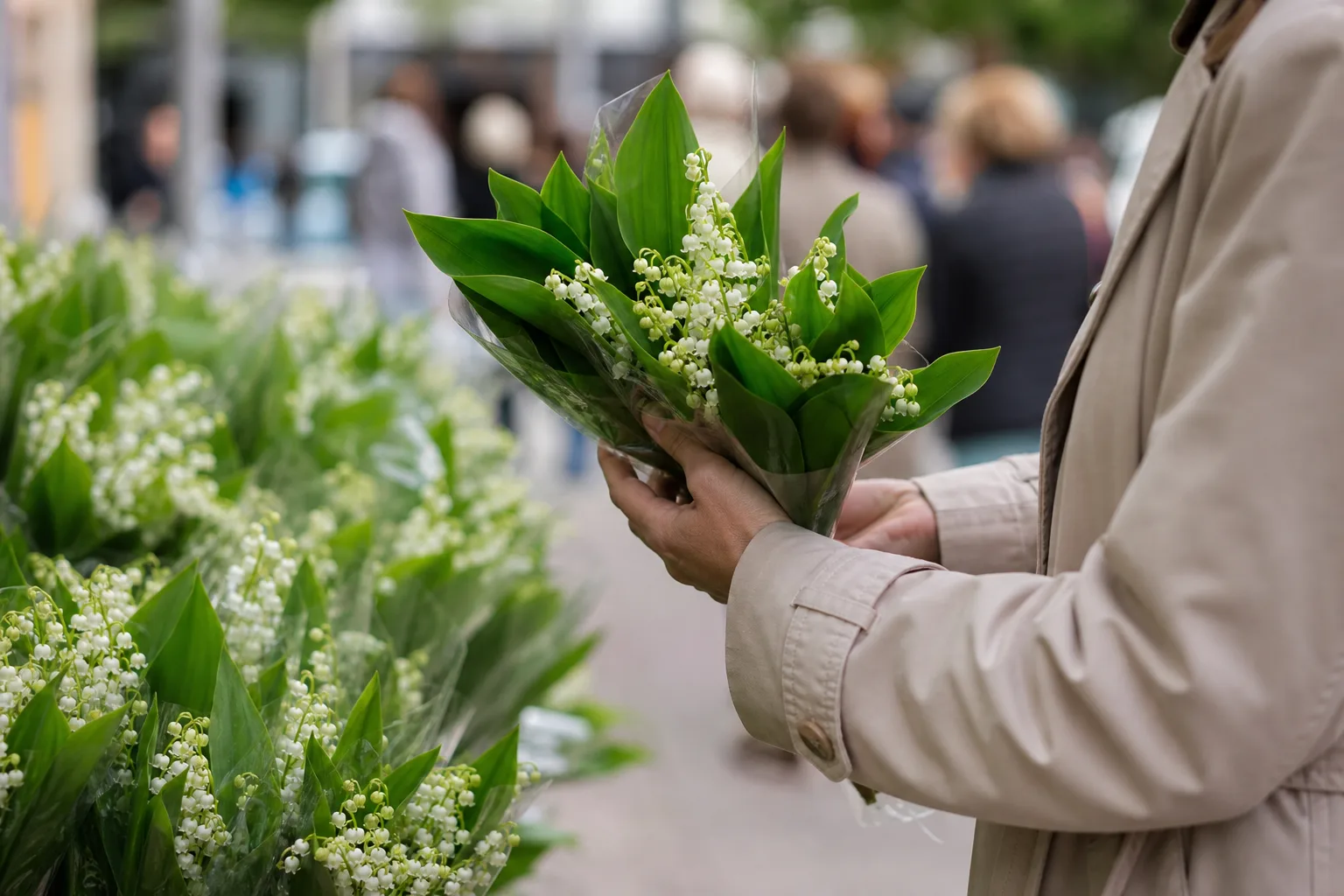 La tradition du muguet: pourquoi offre-t-on du muguet pour célébrer le premier mai ?